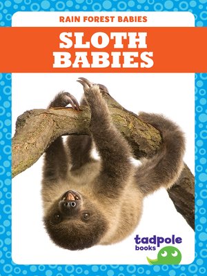 cover image of Sloth Babies